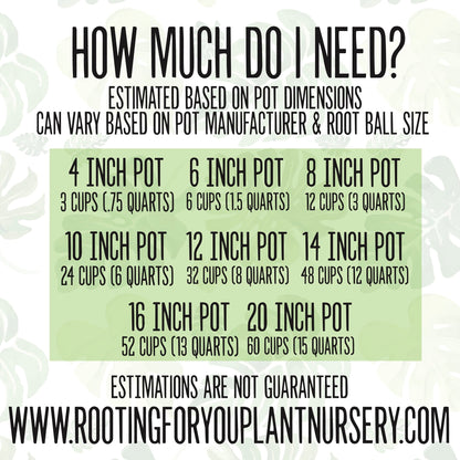 CACTUS & SUCCULENT Premium Potting Mix