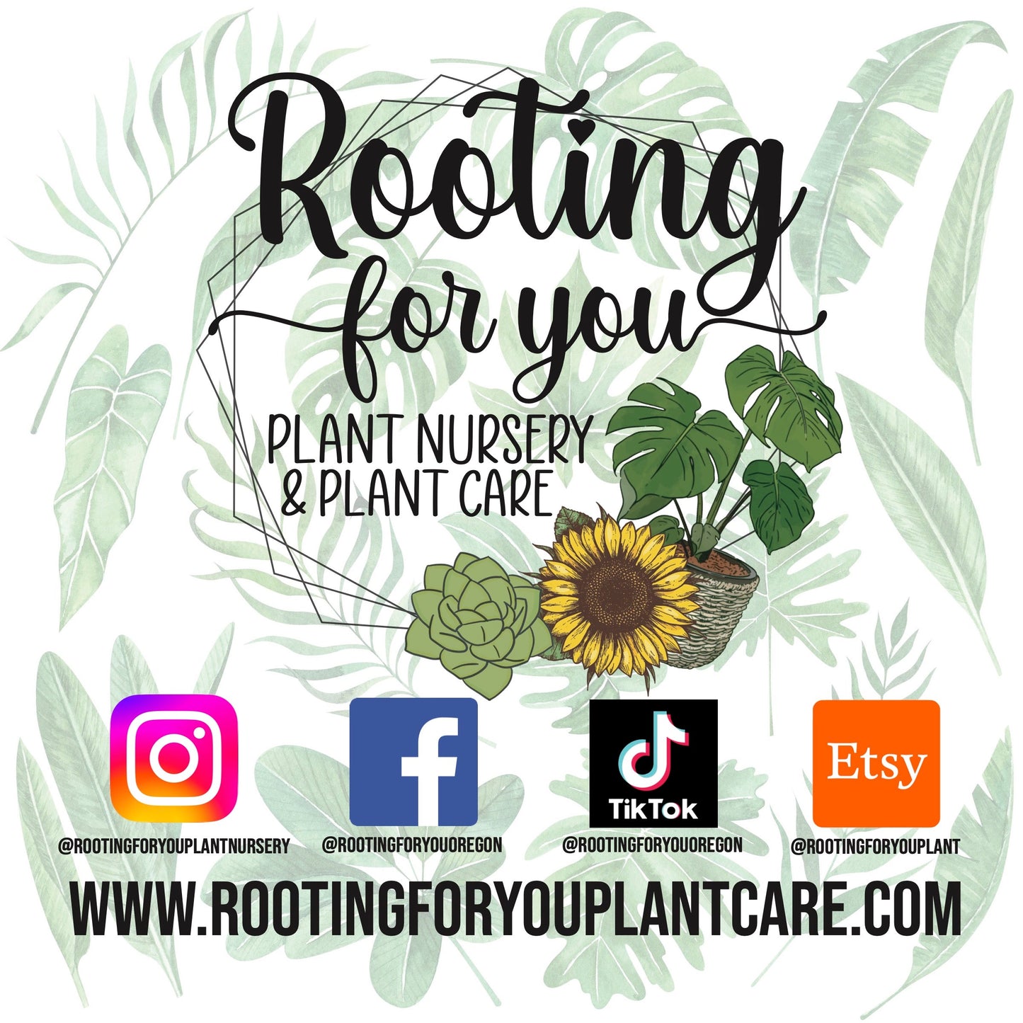 CACTUS & SUCCULENT Premium Potting Mix
