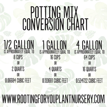 CACTUS & SUCCULENT Premium Potting Mix